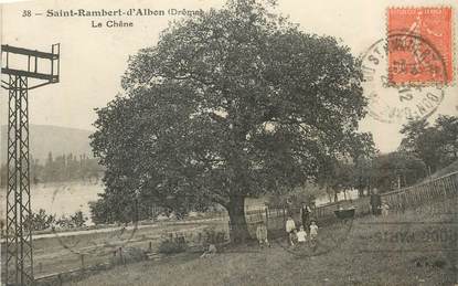 CPA FRANCE 26 "Saint Rambert d'Albon, le Chêne"