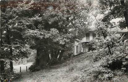 / CPSM FRANCE 95 "Saint Leu La Forêt, le lapin Sauté, la forêt"