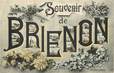 CPA FRANCE 89 "Brienon"