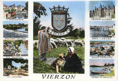 / CPSM FRANCE 18 "Vierzon, blason de R. Louis"