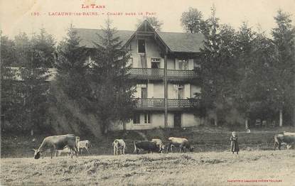 / CPA FRANCE 81 "Lacaune les Bains, chalet dans le parc" / Ed. Labouche