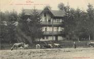 81 Tarn / CPA FRANCE 81 "Lacaune les Bains, chalet dans le parc" / Ed. Labouche