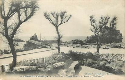 / CPA FRANCE 64 "Biarritz, le rocher de la vierge à travers les tamaris" /  BIARRITZ ARTISTIQUE