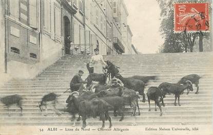 / CPA FRANCE 81 "Albi, lices du Nord" / CHEVRES