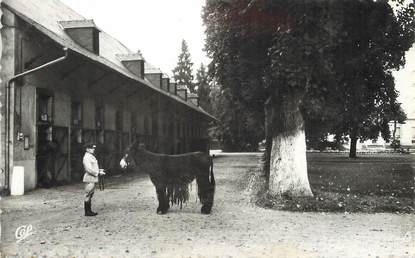 / CPSM FRANCE 65 "Tarbes, les Haras" / ÂNE