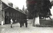 65 Haute PyrÉnÉe / CPSM FRANCE 65 "Tarbes, les Haras" / ÂNE