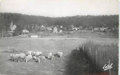 / CPSM FRANCE 78 "Dampierre, ses environs, panorama de Senlisse"