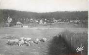 78 Yveline / CPSM FRANCE 78 "Dampierre, ses environs, panorama de Senlisse"