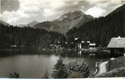 / CARTE PHOTO FRANCE 74 "Montriond"