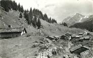 74 Haute Savoie / CPSM FRANCE 74 "Montriond, les alpages des Lindarets"