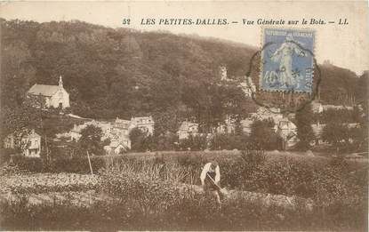  / CPA FRANCE 76 "Les Petites Dalles, vue générale sur le bois"