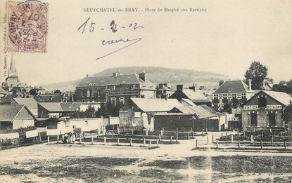  / CPA FRANCE 76 "Neufchâtel en Bray, place du marché aux bestiaux"