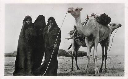 CPSM MAURITANIE "femme maure à la corvée de bois"