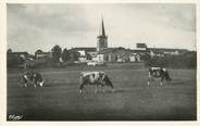 01 Ain / CPSM FRANCE 01 "Chazey sur Ain, vue générale"