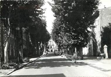 / CPSM FRANCE 83 "Lorgues, avenue Allongue"