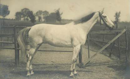 CPA CHEVAL 