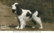 Animaux  CPA CHIEN / Cocker Spaniel