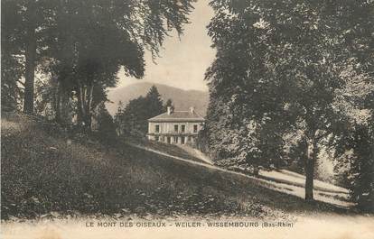 / CPA FRANCE 67 "Weiler Wissembourg, le mont des oiseaux"