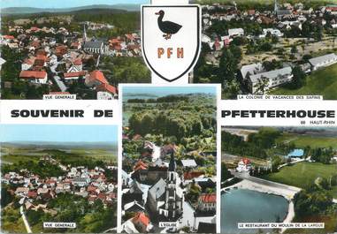 / CPSM FRANCE 68 "Pfetterhouse"