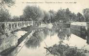 38 Isere / CPA FRANCE 38 "Beaurepaire, passerelle sur le Suzon "