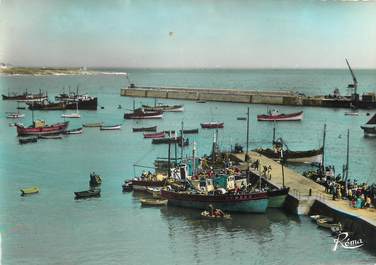 / CPSM FRANCE 56 "La presqu'ile de Quiberon, sardiniers à Port Maria"