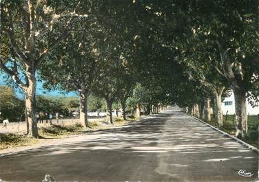 / CPSM FRANCE 30 "Générac, avenue de la gare et le boulodrome"