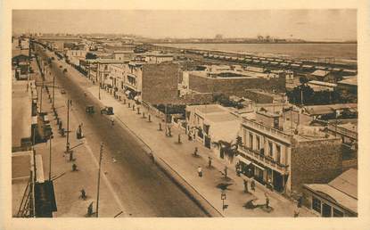 CPA MAROC "Casablanca, avenue Sainte Aulaire"