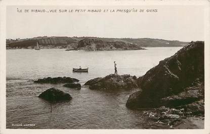 CPSM FRANCE 83 "Ile de Ribaud"