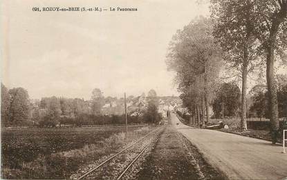 / CPA FRANCE 77 "Rozoy en Brie, le panorama"