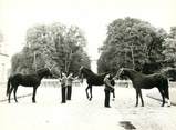 61 Orne / CPSM FRANCE 61 "Haras du Pin, Elope, Euripide, Hermès, trotteur français" / CHEVAL