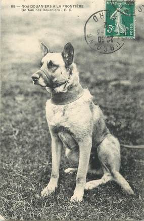 CPA   CHIEN "Douane"