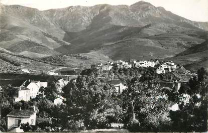 / CPSM FRANCE 66 "Banyuls sur Mer, vieux Banyuls"