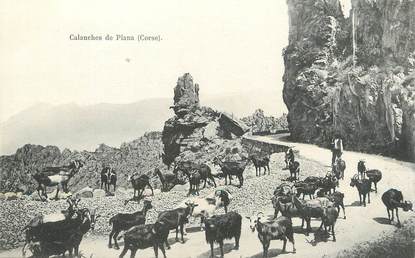 / CPA FRANCE 20 "Calanches de Piana" / CHEVRE