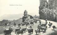 20 Corse / CPA FRANCE 20 "Calanches de Piana" / CHEVRE