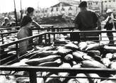 64 PyrÉnÉe Atlantique / CPSM FRANCE 64  "Saint Jean de Luz, le port "