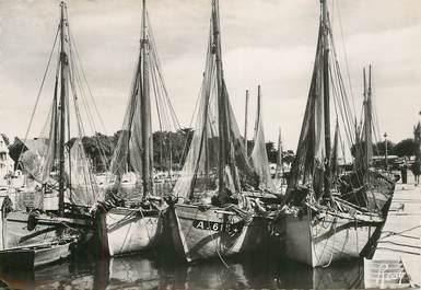 CPSM FRANCE 44 "Le Pouliguen, bateaux de pêche"