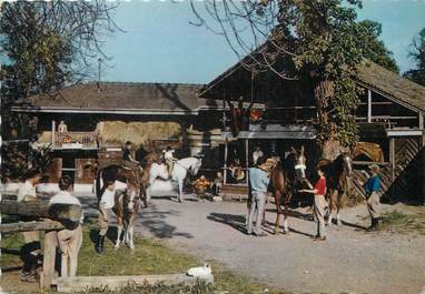 / CPSM FRANCE 74 "Evian, hôtel de la Verniaz et ses chalets" / CHEVAL / EQUITATION