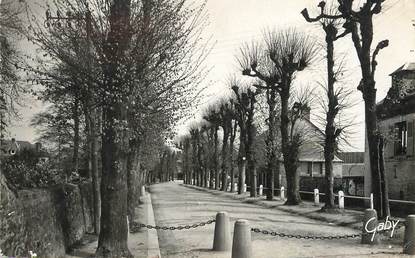 / CPSM FRANCE 76 "Gournay en Bray, boulevard des Planquettes"