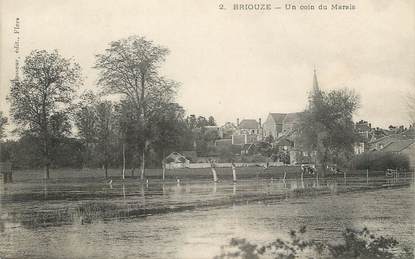 / CPA FRANCE 61 "Briouze, un coin du Marais"