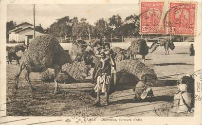 CPA TUNISIE "Gabès, chameaux porteurs d'Alfa"