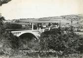 74 Haute Savoie / CPSM FRANCE 74 "Annecy, le pont de la Caille"