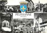 13 Bouch Du Rhone / CPSM FRANCE 13  " Pelissanne"