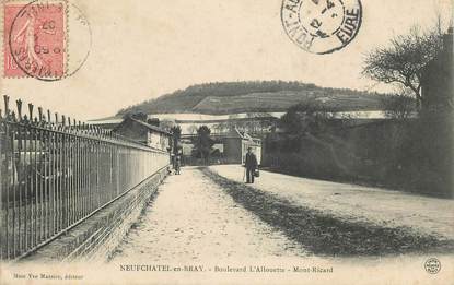 CPA FRANCE  76 "Neufchâtel en Bray, bld L'Allouette, Mont Ricard"