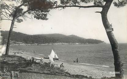 / CPSM FRANCE 83 "La Croix Valmer, plage du Gigaro et Cap Lardier"