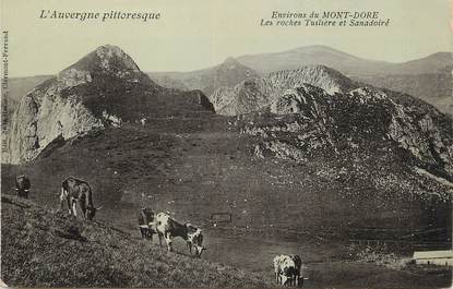 / CPA FRANCE 63 "Environs du Mont Dore, les roches Tuilières et Sanadoiré"